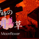 黄昏時の月美草の攻略！真相や隠しエンディングクリア時間は？【ネタバレ有】