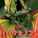 スプラトゥーン レイダース